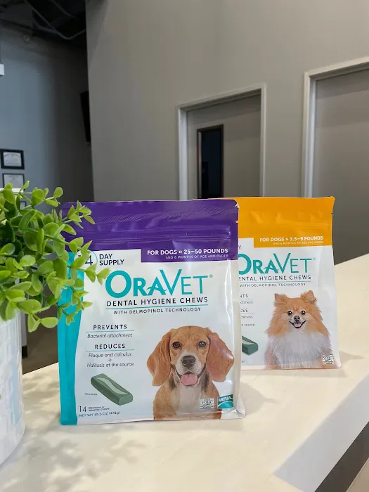 Traveling Tails Veterinary Clinic North Loop 1604 9