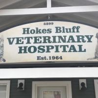 Hokes Bluff Veterinary Hospital ico