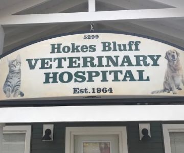 Hokes Bluff Veterinary Hospital