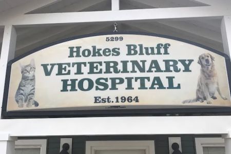 Hokes Bluff Veterinary Hospital
