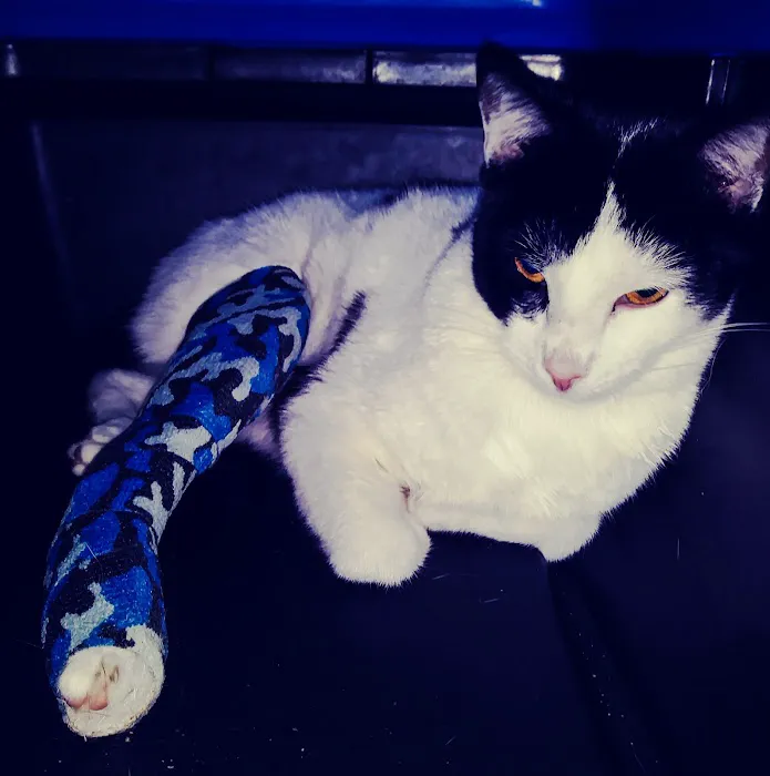 Gadsden Animal Clinic 12