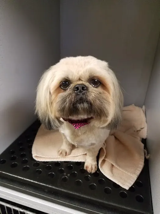 Gadsden Animal Clinic 12
