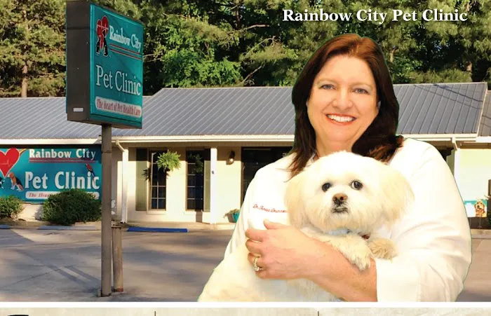 Rainbow City Pet Clinic 12