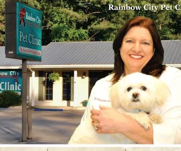 Rainbow City Pet Clinic