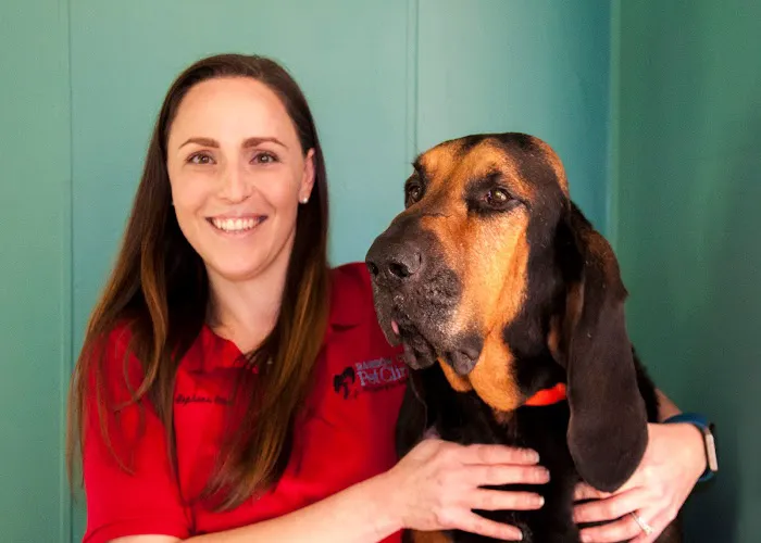 Rainbow City Pet Clinic 12