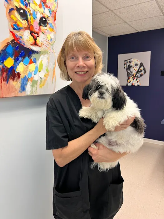 Rainbow City Pet Clinic 12