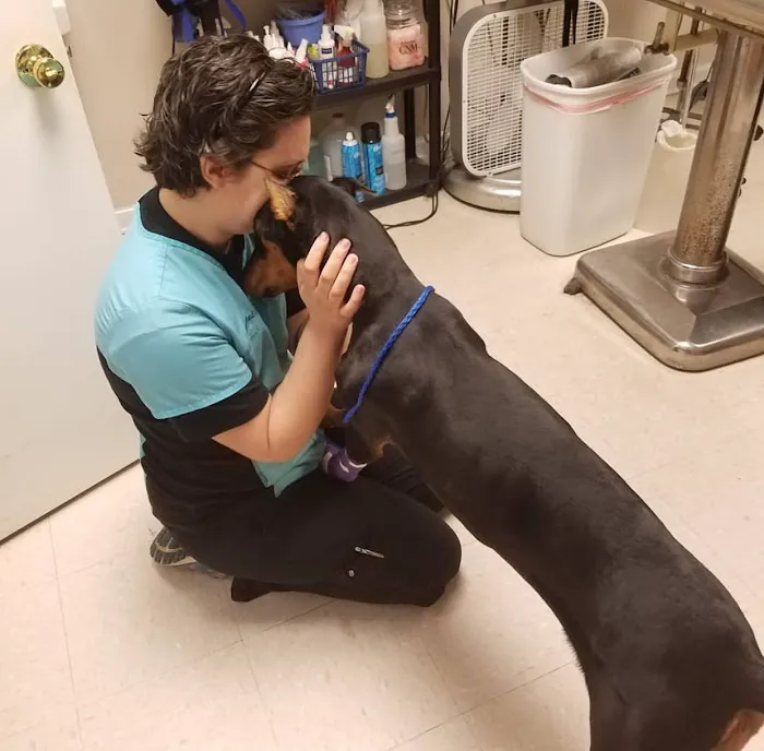 Rainbow City Pet Clinic 12