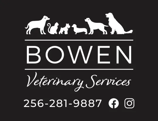Bowen Veterinary Services 10