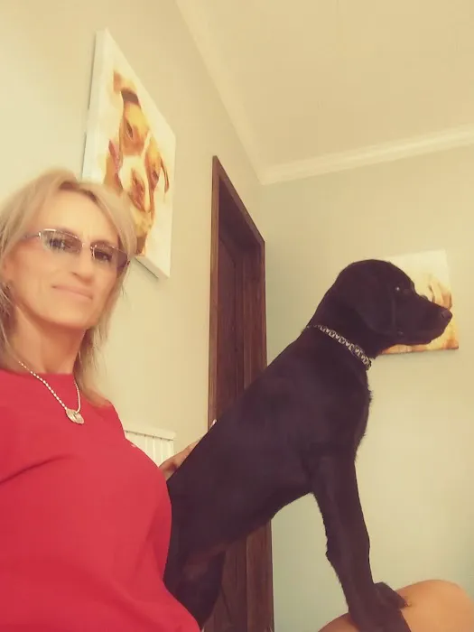 Bowen Veterinary Services 9