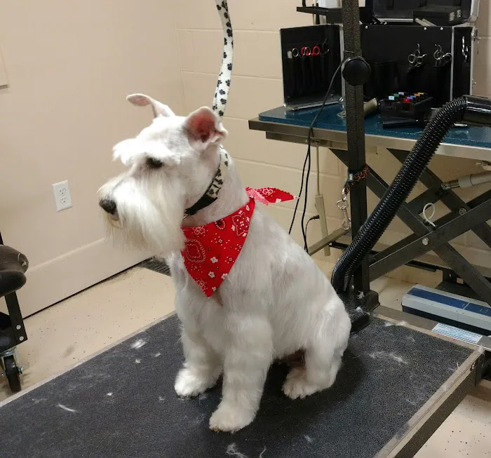 Central Valley Animal Hospital 4