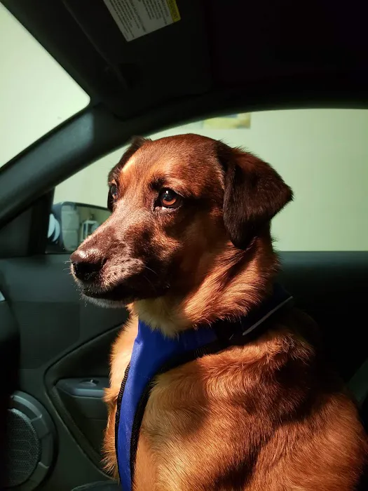Central Valley Animal Hospital 6