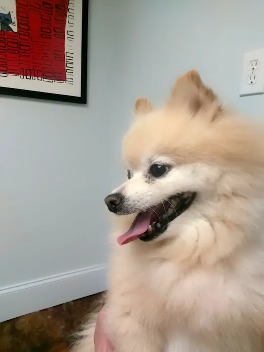 Central Valley Animal Hospital 10