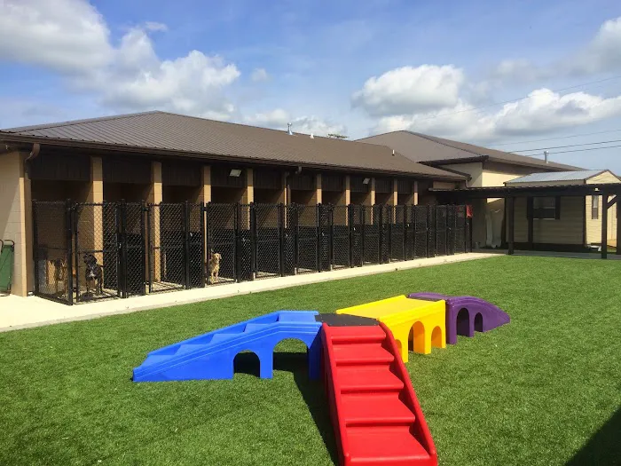 Southside Pet Clinic 4