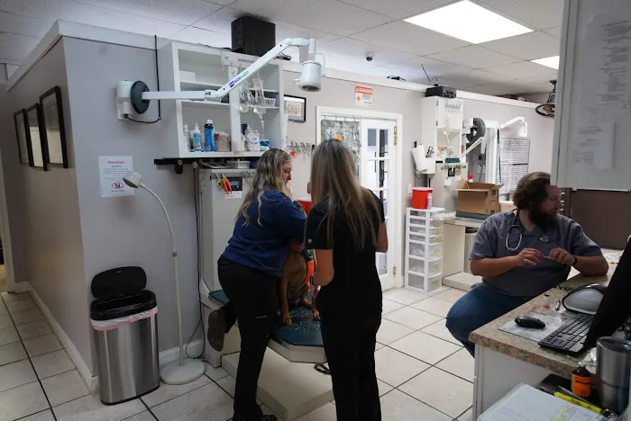 Southside Pet Clinic 5