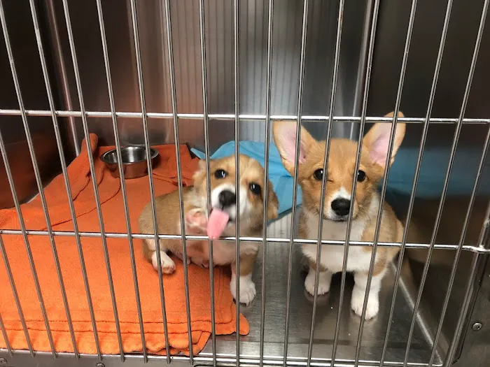 Southside Pet Clinic 9