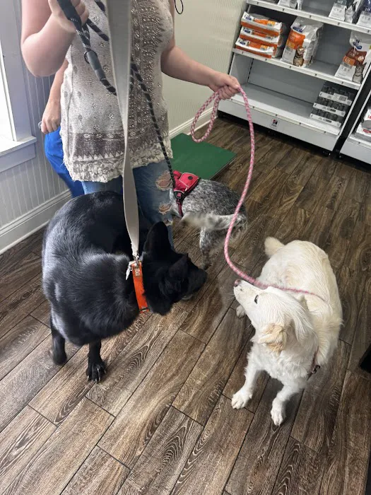 B & A Animal Hospital 8