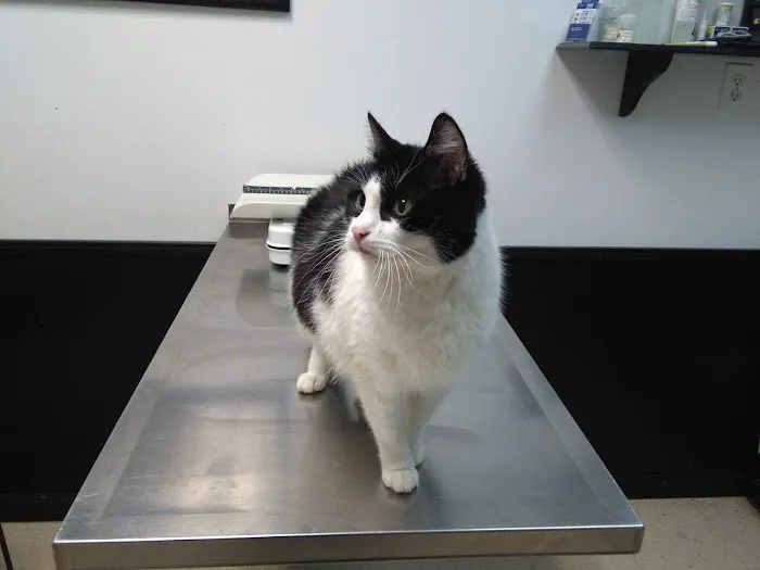 Lincoln Veterinary Clinic LLC 2