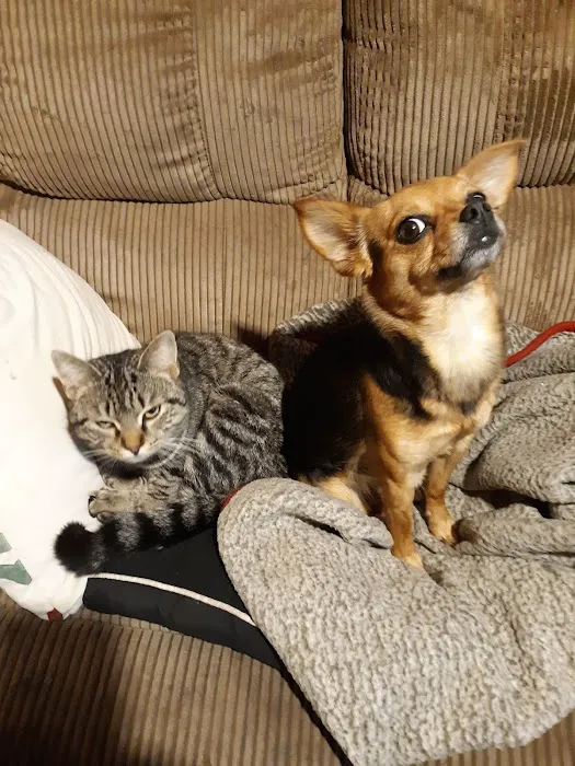 Lincoln Veterinary Clinic LLC 5
