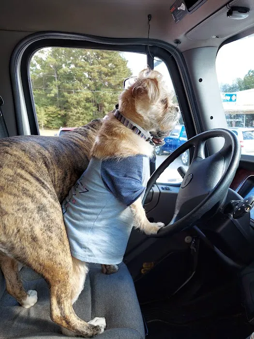 Lincoln Veterinary Clinic LLC 7