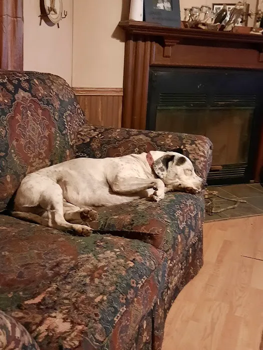Lincoln Veterinary Clinic LLC 9