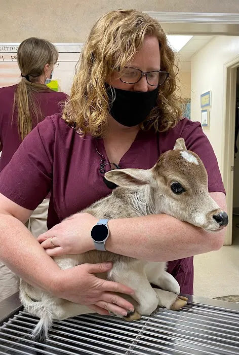 Pell City Animal Hospital 2