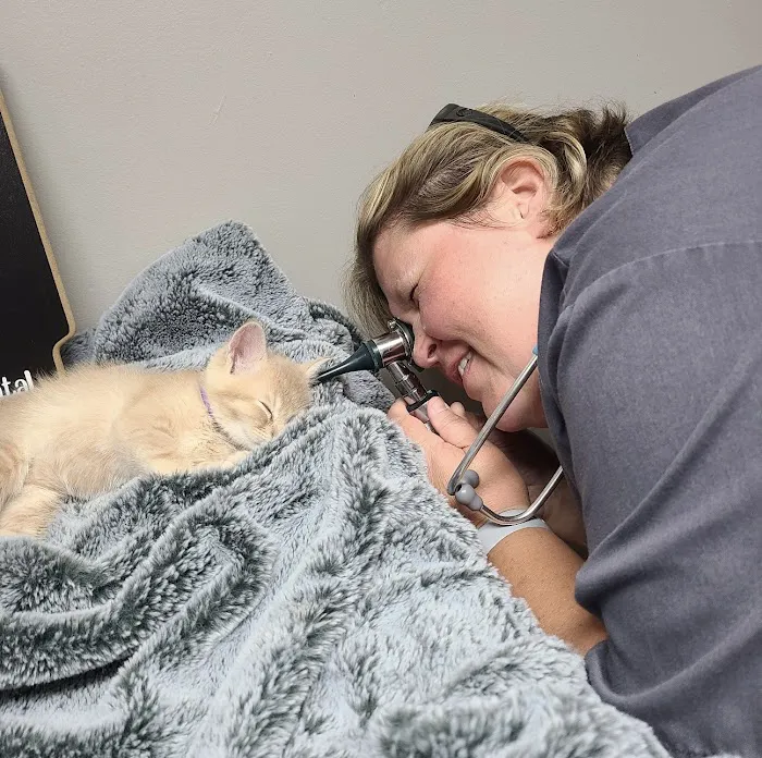 Pell City Animal Hospital 6