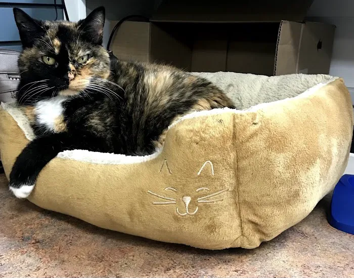 Pell City Animal Hospital 7