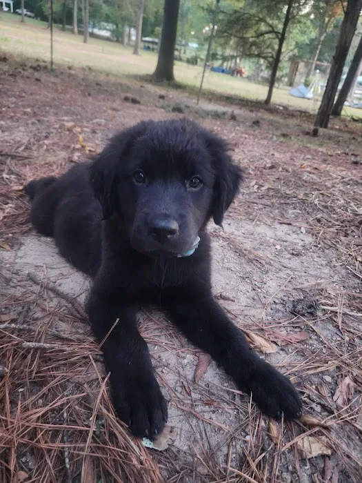 Logan Martin Vet Clinic 4