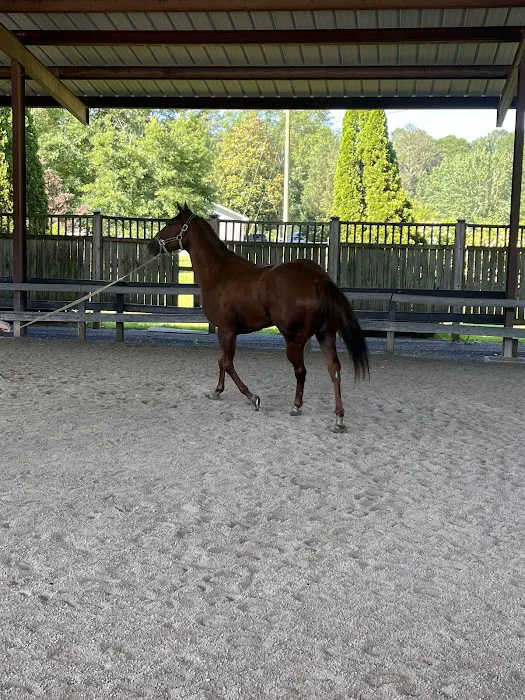 Coosa Valley Equine Center 1