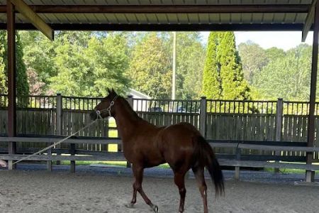 Coosa Valley Equine Center