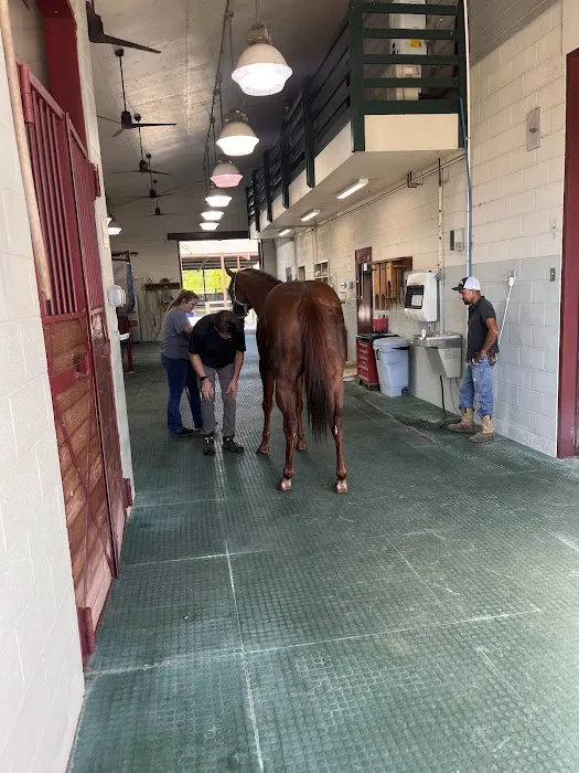 Coosa Valley Equine Center 5