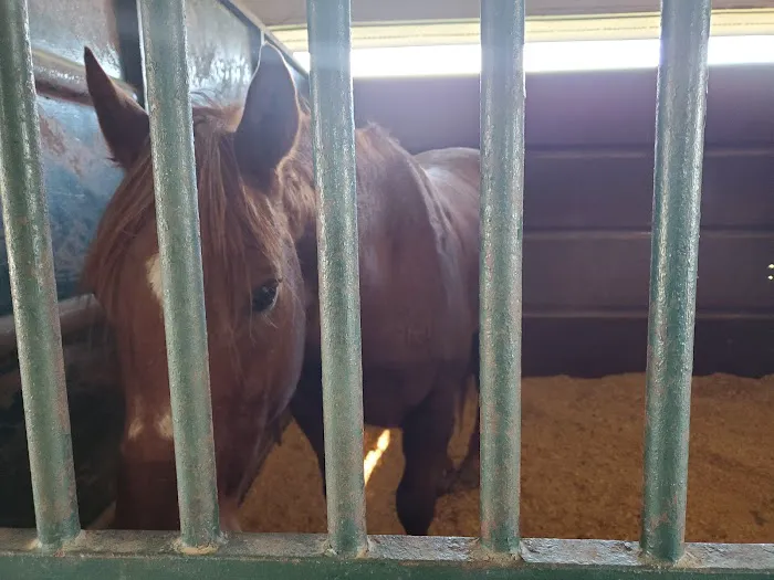 Coosa Valley Equine Center 7
