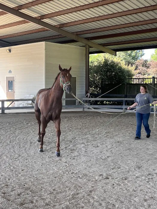 Coosa Valley Equine Center 8