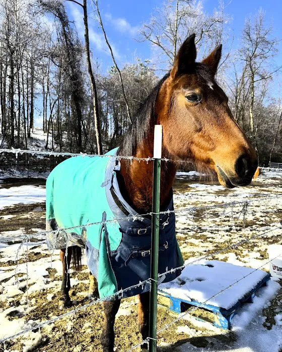 Coosa Valley Equine Center 9