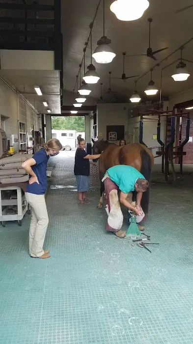 Coosa Valley Equine Center 10