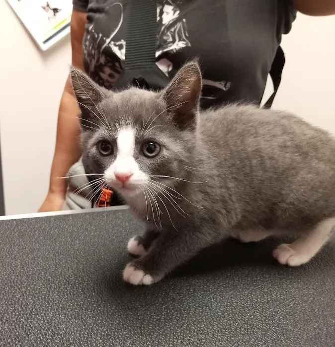 Powers Veterinary Hospital 12