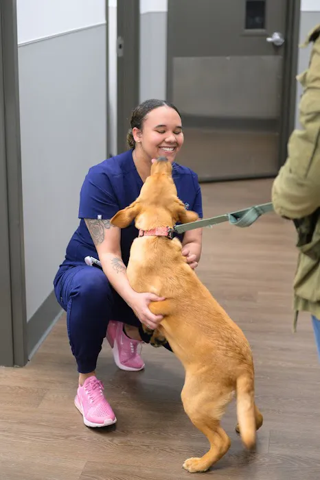 PetMedic Urgent Care Vet Clinic 2