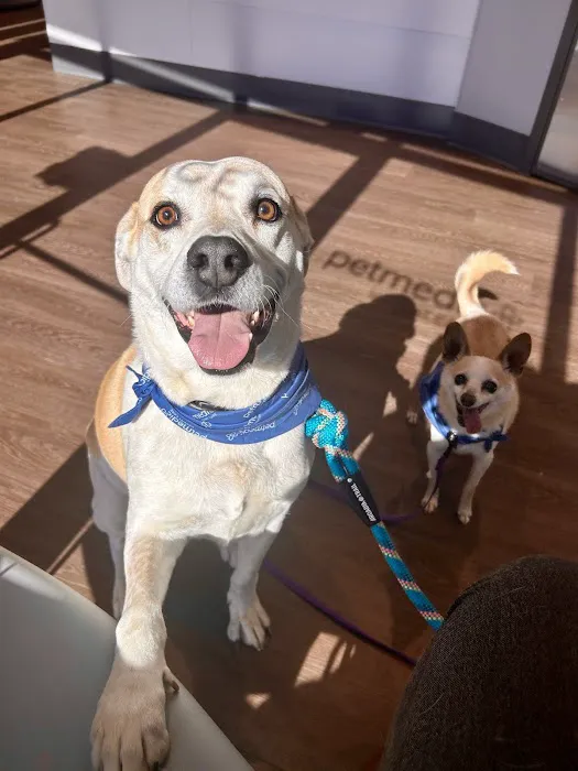 PetMedic Urgent Care Vet Clinic 4