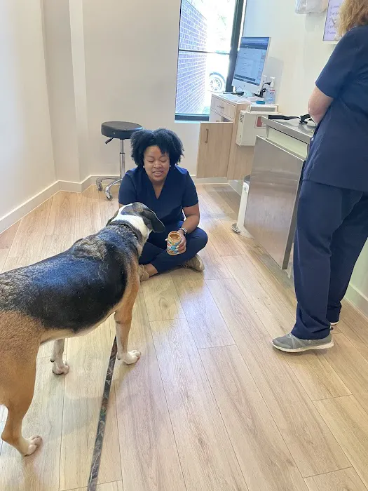 Petfolk Veterinary & Urgent Care - Huntersville 2