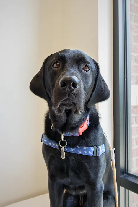 Petfolk Veterinary & Urgent Care - Huntersville 10
