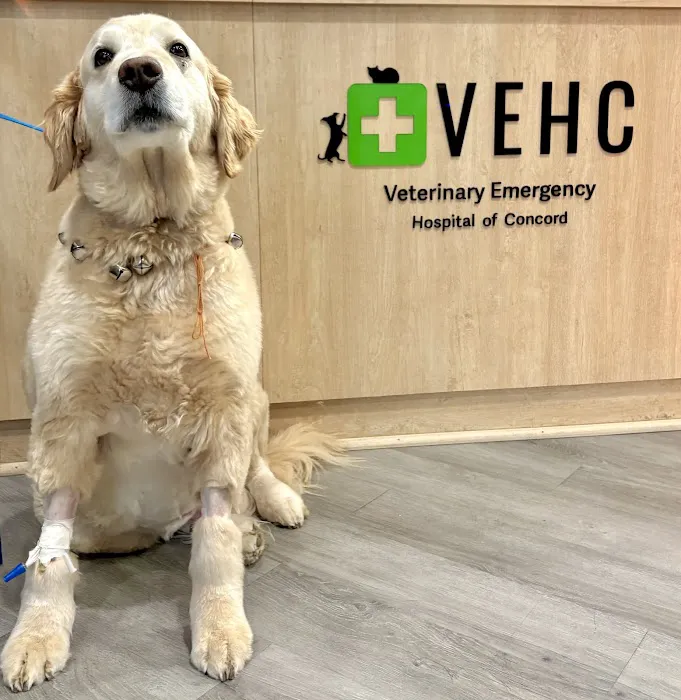 Veterinary Emergency Hospital of Concord (VEHC) 3