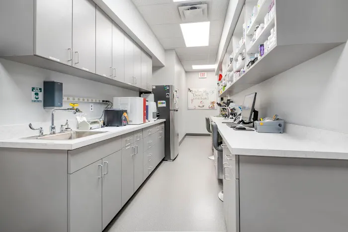 Livewell Animal Hospital of Huntersville 4