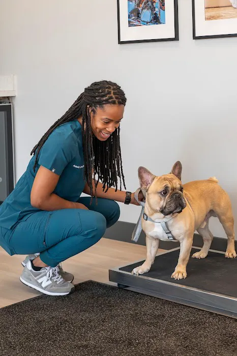Livewell Animal Hospital of Huntersville 10