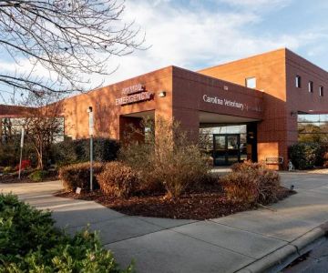 Carolina Veterinary Specialists Huntersville
