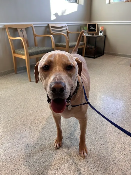 Hambright Animal Hospital 6
