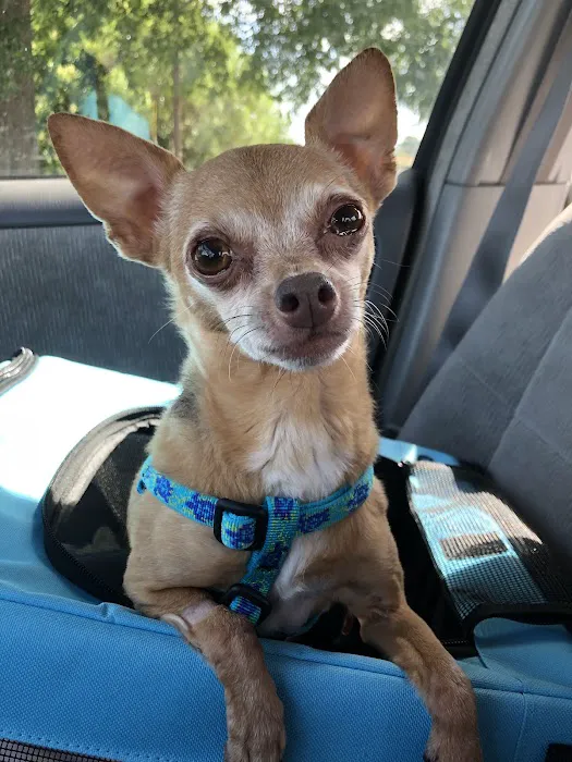 Banfield Pet Hospital 4