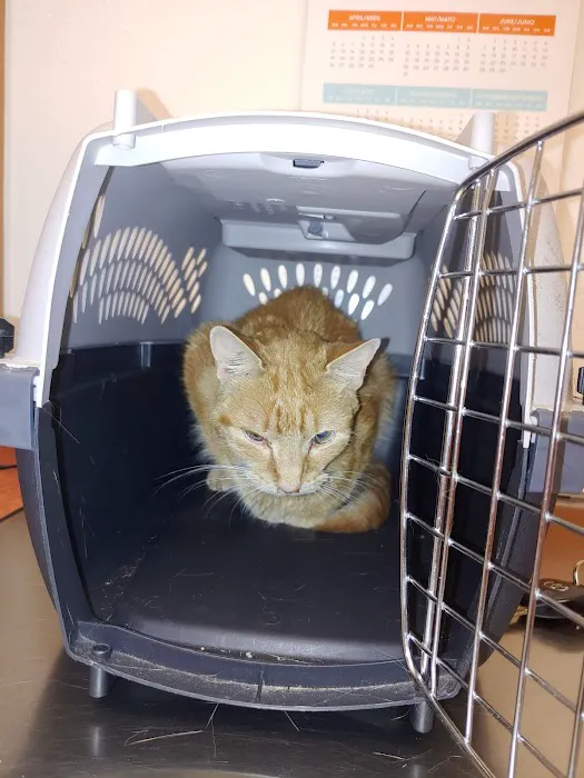 Banfield Pet Hospital 7
