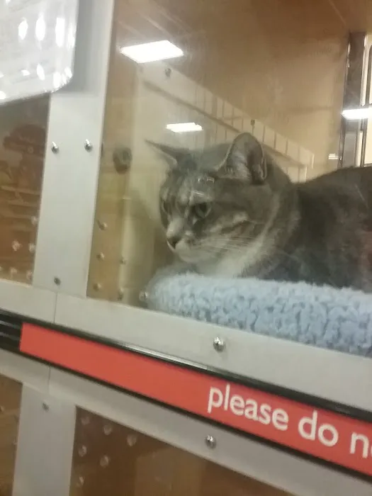 Banfield Pet Hospital 9