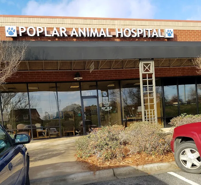Poplar Animal Hospital 3