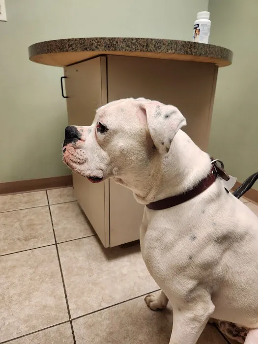 Poplar Animal Hospital 4